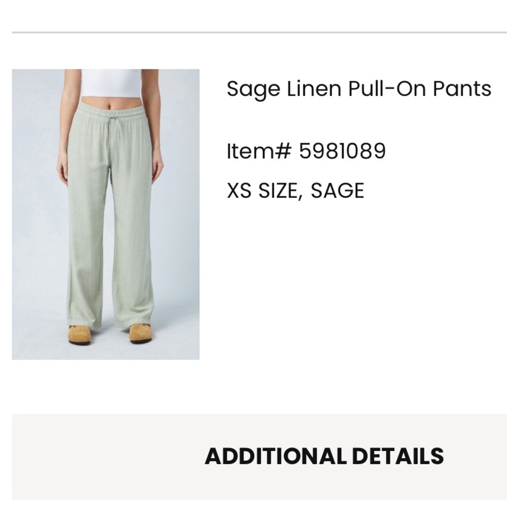 Pacsun Sage linen pull on pants